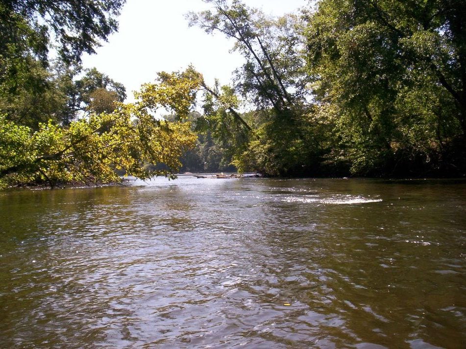 The Catawba River running alongside the campground