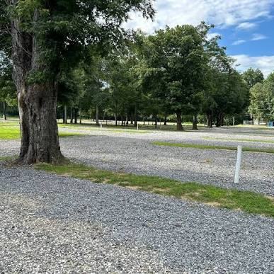 A gravel road through the campground under a large shade tree