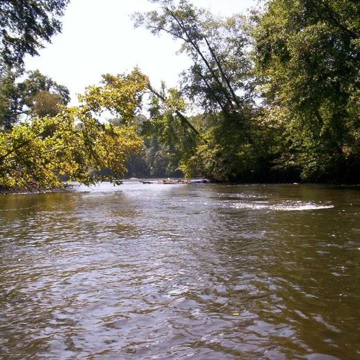 The Catawba River running past the campground