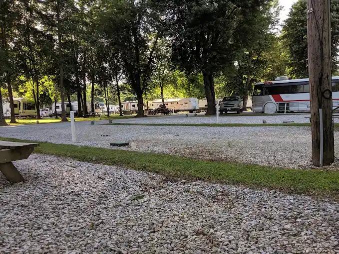 Level gravel sites and a picnic table under mature trees