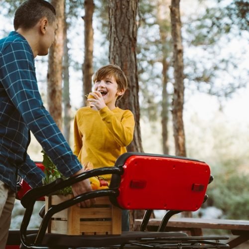 Farmer father and school boy kid delivered wooden crates with vegetables to camp site for picnic. Dad man male and son tourists unloading groceries from electric tricycle vehicle in the forrest