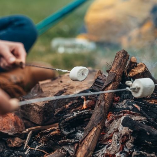 Marshmallows on a stick while unrecognizable campers and holding them above camping fire
