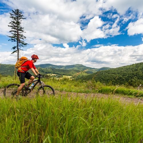 Mountain biking man riding in woods and mountains